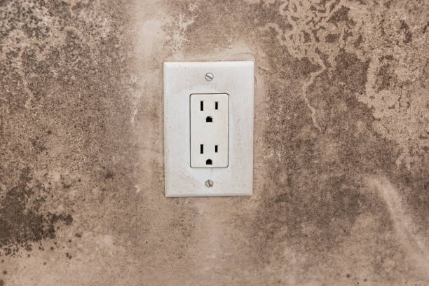 Professional Mold Removal in Warner Robins, GA